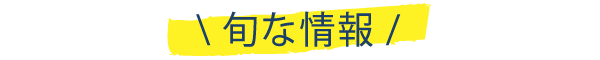 Bleu Bleuet（ブルーブルーエ）